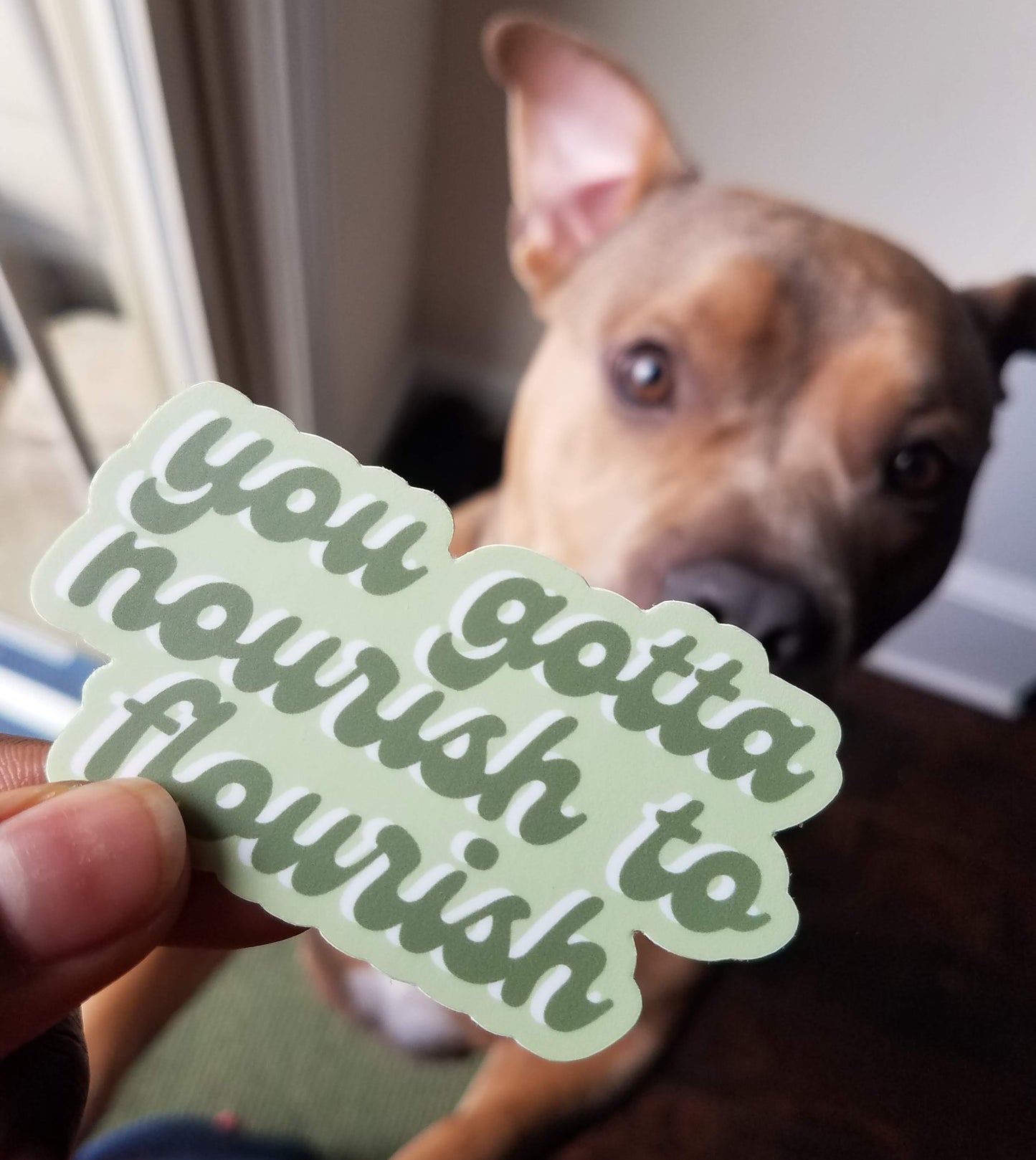 nourish to flourish sticker